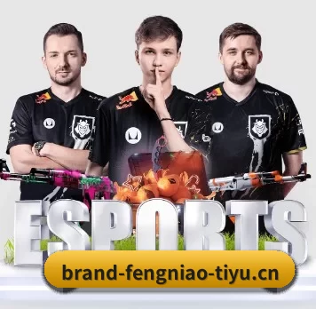 用内容积累长期价值 | FNESPORTS
